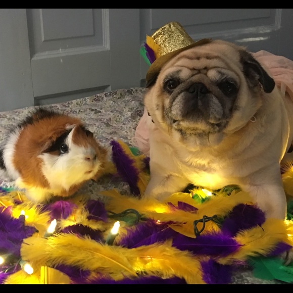 Meet your Posher, Kim - Picture 1 of 1